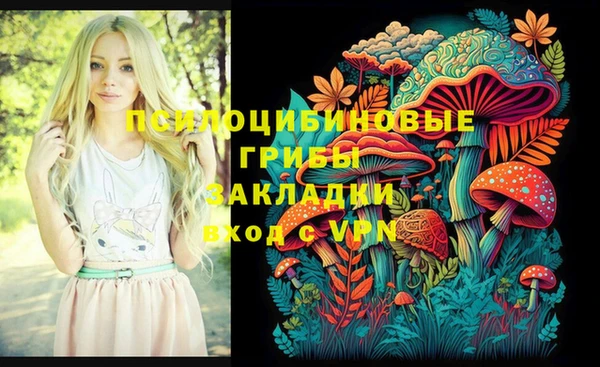 таблы Алзамай