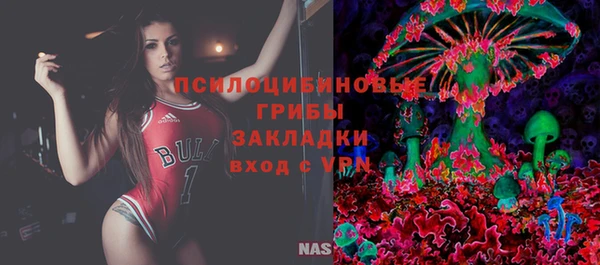 тгк Алексин