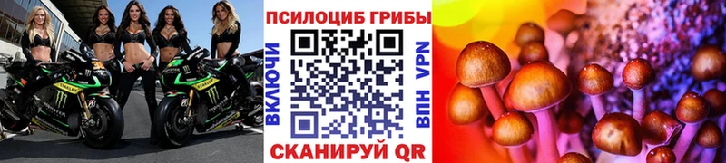 mega ссылки  закладка  Пустошка  Псилоцибиновые грибы прущие грибы 
